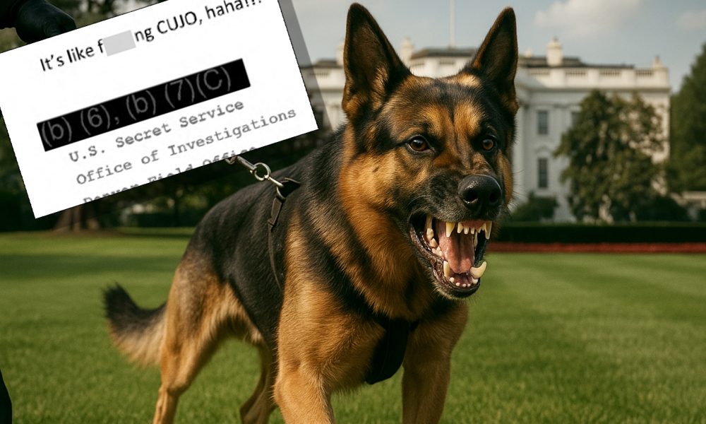 L'appello FOIA aggiunge nuovi dettagli sul morso di cane dalla Casa Bianca di Biden e conferma che le prove video sono state nascoste