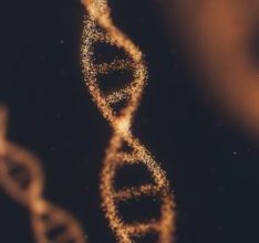 anirudh YQYacLW8o2U unsplash 234x300